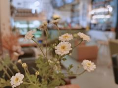 -唐咖精品咖啡(大理古城手冲店)