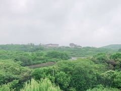 -上海市保健医疗中心