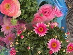 -龙大花卉苗木市场