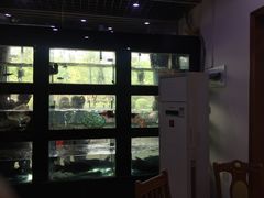 -全乐鱼馆·淳牌有机鱼直营店