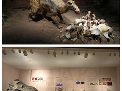 -自贡恐龙博物馆