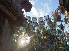 -奥兰多迪士尼动物王国乐园