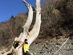-叠溪松坪沟景区