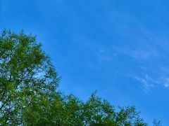 -满都海公园