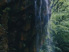 -西岭雪山大飞水景区