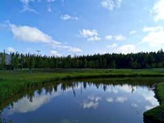 -黄海国家森林公园