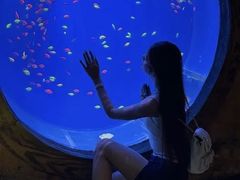 -华夏文旅西安度假区
