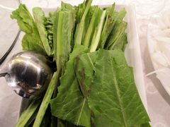 油麦菜-廣味潮鲜·一品潮滋味(五道口店)