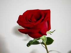 -上海峰子美术教育培训机构(杨浦店)