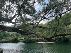 -上坦村