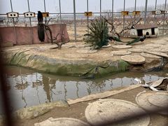 -河北村民俗体验园