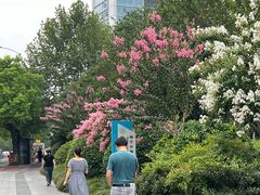 -杭州城北体育公园