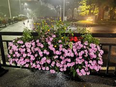-花城苑广府菜(海心沙店)