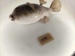 -陕西自然博物馆