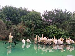 -珠海长隆海洋王国