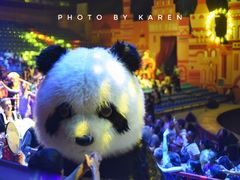 -俄罗斯国家大马戏团