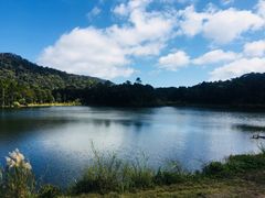 -海南热带雨林国家公园吊罗山景区