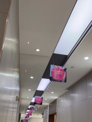 -杭州米兰柏羽医疗美容医院