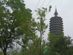 -西海子公园