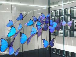 -酷嗒动物文化乐园(cutezoo西溪乐天城店)