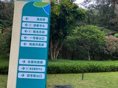 -野狸岛