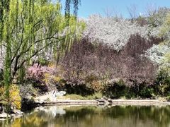 -石家庄市植物园