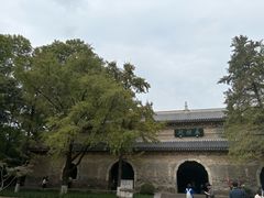 -灵谷景区