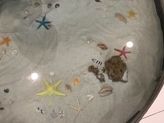 -南宫温泉水世界