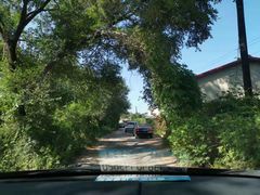 -高家大院烤全羊