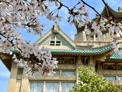 -武汉大学-樱园