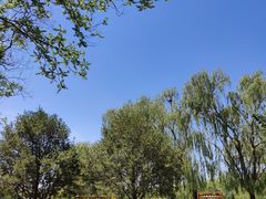 -大兴滨河森林公园