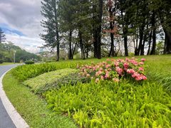 -四海公园(南山区)