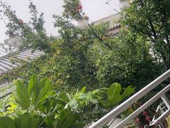 -阿鹏故事云南野生菌火锅(人民路店)
