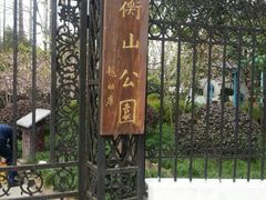 -徐家汇源景区-衡山公园