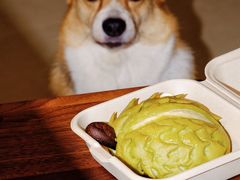 -美心西饼mx cakes(猎德优托邦店)