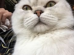 -MIKAKU(万达广场上海宝山店)