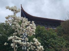 -皇罗禅寺