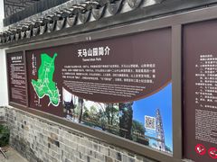 -上海佘山国家森林公园天马山园