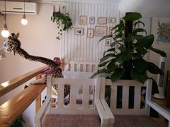 用餐区-长颈鹿咖啡(大学路店)