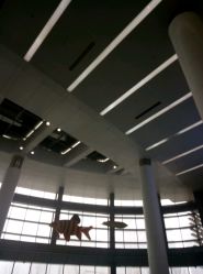 -天津市儿童医院(北辰龙岩院区)