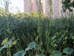 -木塔寺遗址生态公园
