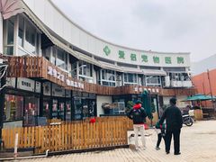 -爱侣宠医·鹦鹉专科·小型哺乳类·异宠专科(灵石路店)