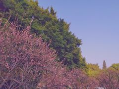 -西湖公园(鼓楼区)