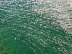 -迪拜帆船酒店海底餐厅