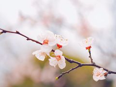 -苏州河梦清园环保主题公园