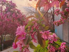 -元大都城垣遗址公园