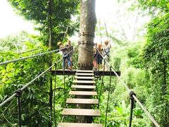 -清迈丛林飞跃 JungleFlight