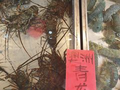 -湛江渔港·大排档(乐园路总店)
