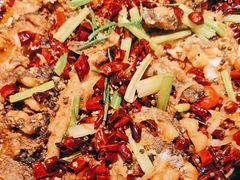 -老板恋上鱼(印象城店)