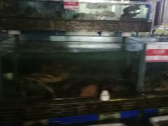 -欢乐海岸美食联盟